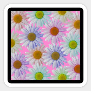 colorful daisy flowers, daisies, blossoms Sticker